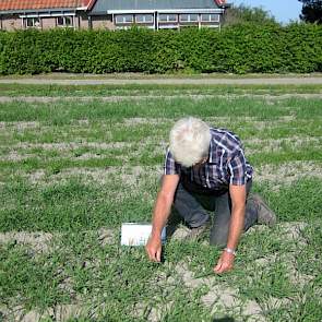 Jan Ros van Innoseeds toont de aanwezigen de voordelen van een goede groenbemester. Japanse haver laat een sterke reductie zien van vrijlevende aaltjes, zo bleek vorig jaar uit een proef in de Wieringermeer.