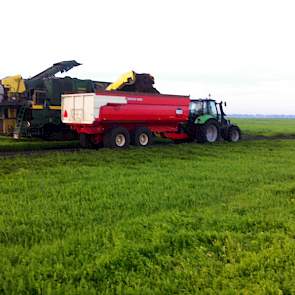 Het perceel is in totaal 15 hectare groot en wordt in 3 dagen geoogst(vrijdag, zaterdag, en maandag).