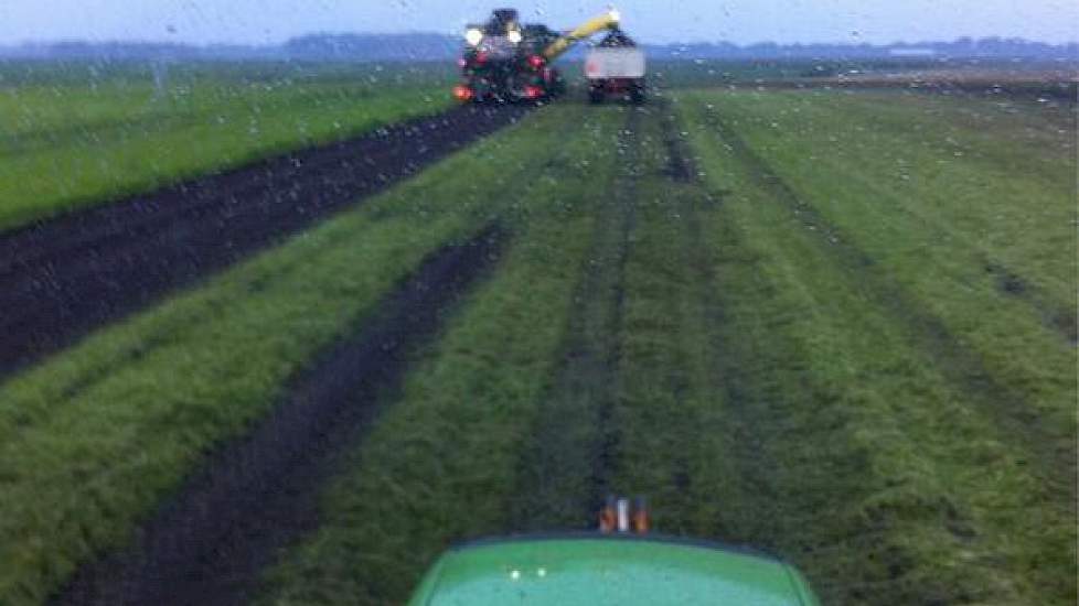 In de nacht van vrijdag op zaterdag is in Erica en omgeving 8 mm regen gevallen. Maar dat mag de pret niet drukken: ‘Nu weer aan het wortels oogsten’, twittert Siebring.