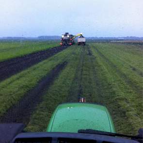 In de nacht van vrijdag op zaterdag is in Erica en omgeving 8 mm regen gevallen. Maar dat mag de pret niet drukken: ‘Nu weer aan het wortels oogsten’, twittert Siebring.