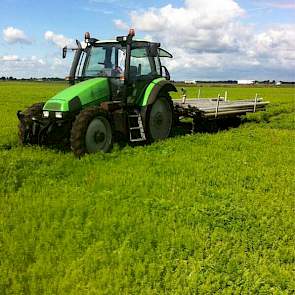 Woensdag 14 augustus haalt Siebring de beregeningsbuizen uit het land. ‘Vrijdag beginnen met oogsten.’